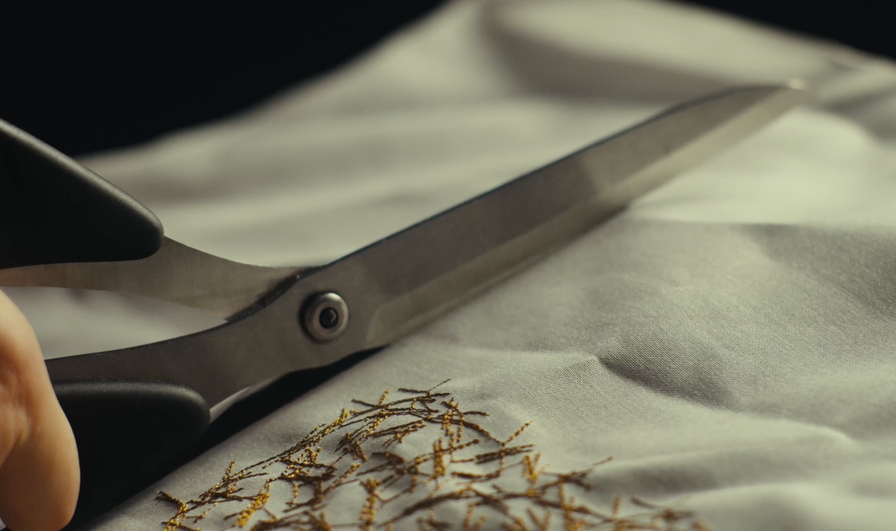 Jakob Schlaepfer découpe broderie